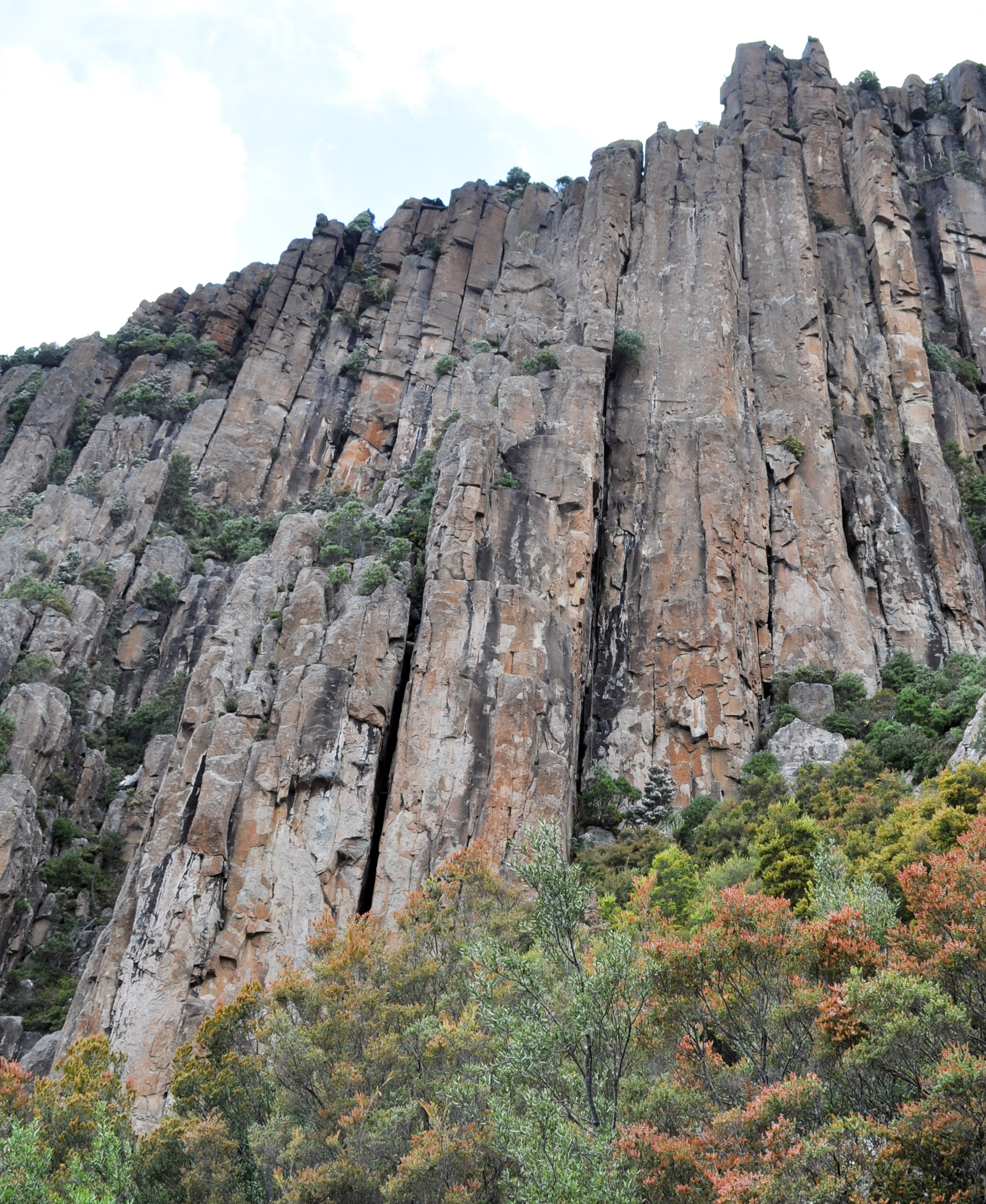 Flange Buttress