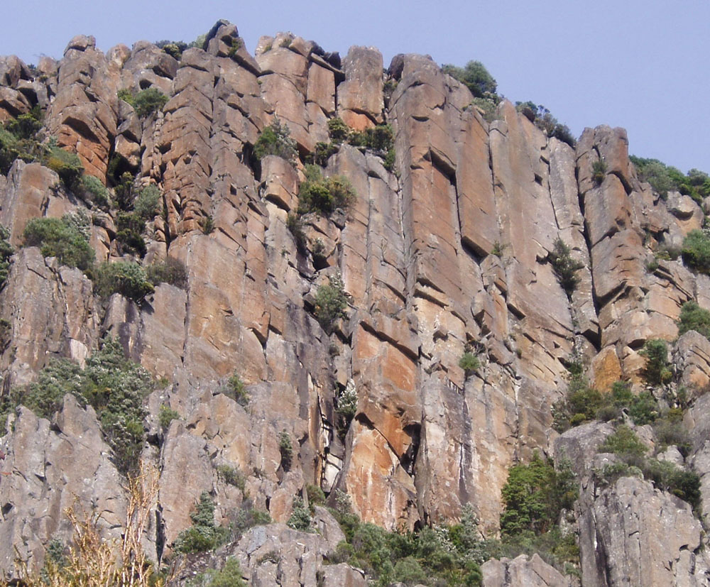 Circus Wall