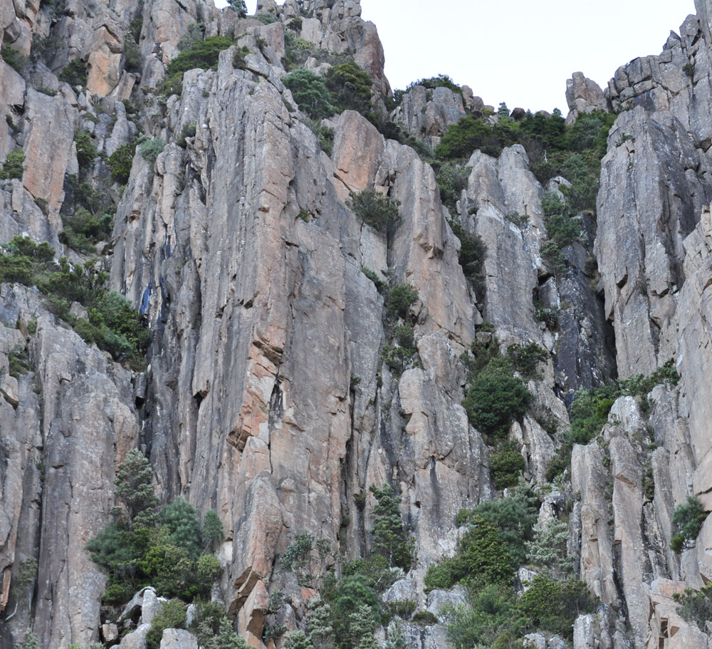 Farewell To Arms Buttress