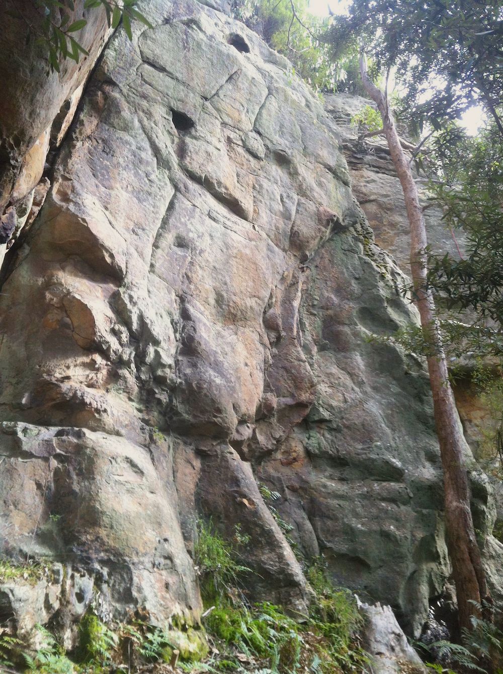 Belay Bunny