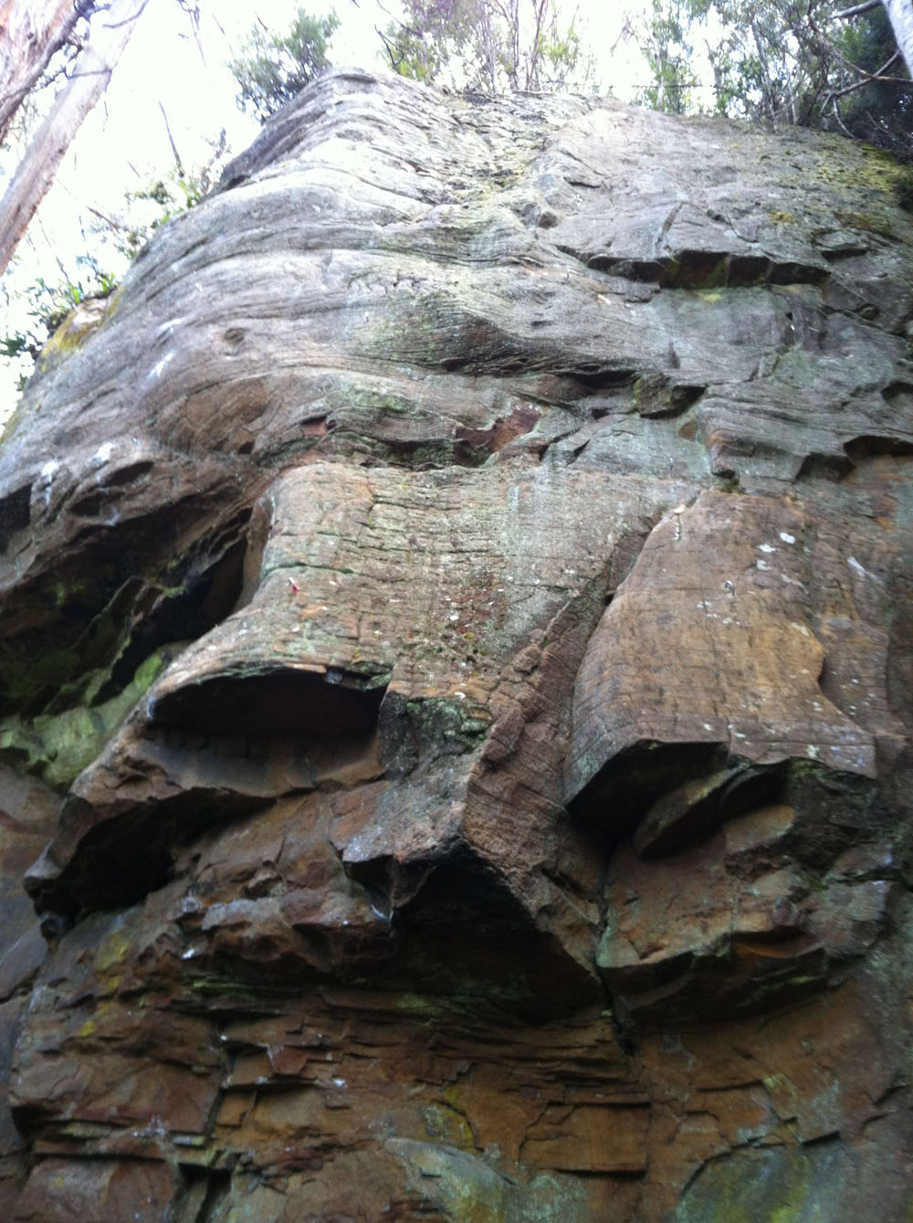 Black Hole Buttress