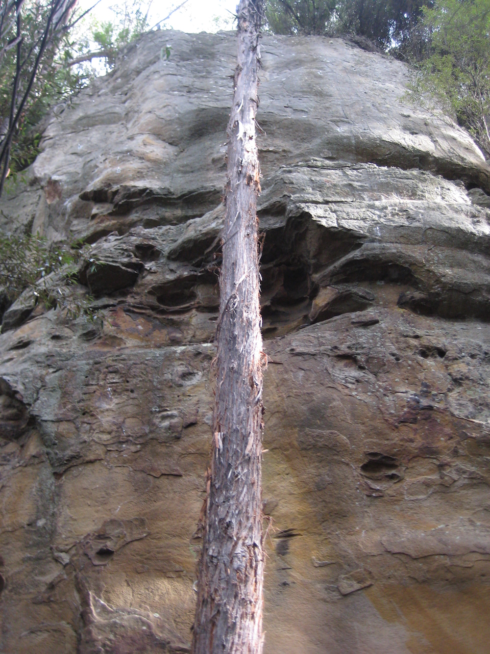 Dragons Buttress