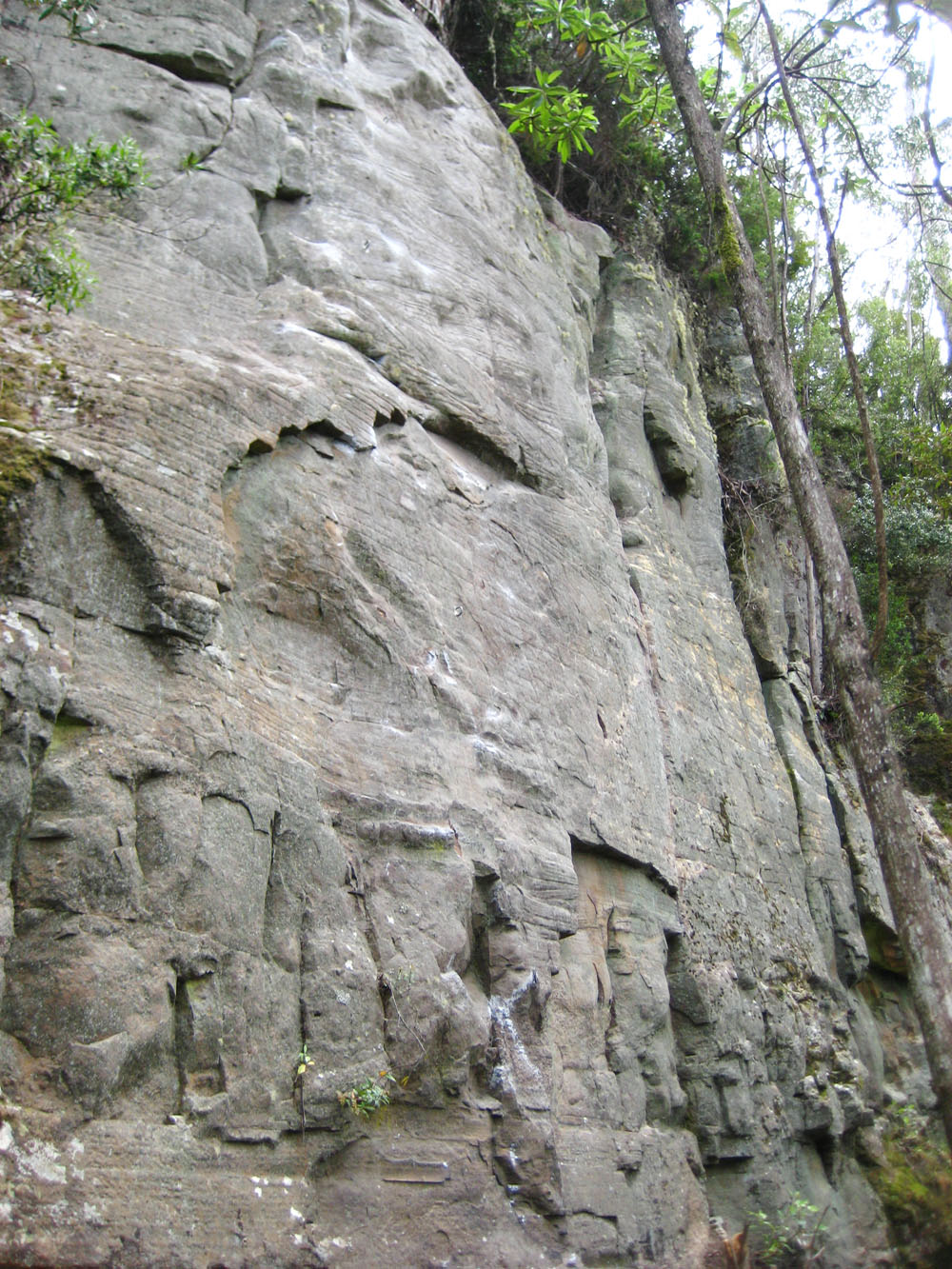 Garden Wall