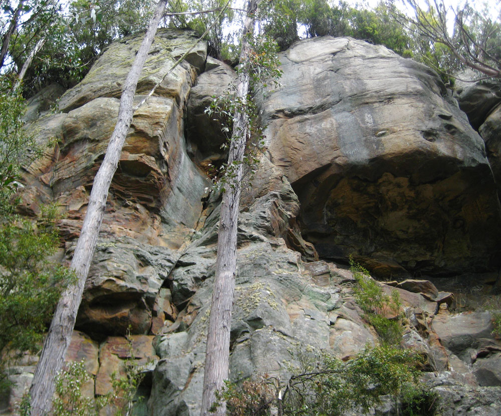 Scared Turtle Buttress