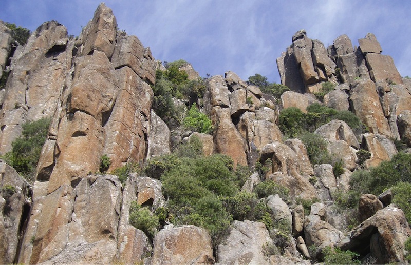 Pipedream Buttress