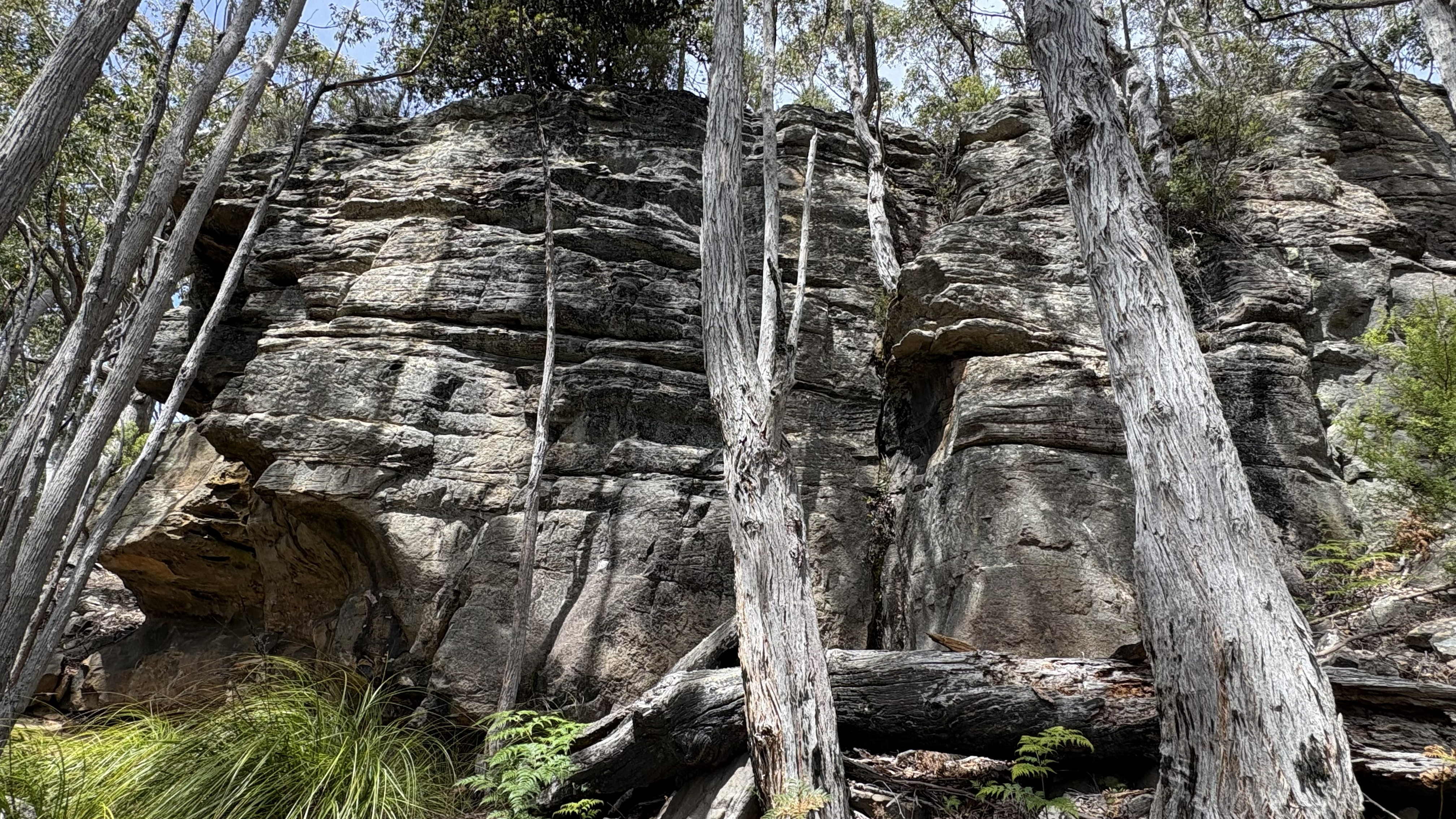 001 IMG_4155(Mt Wellington) (8).jpg