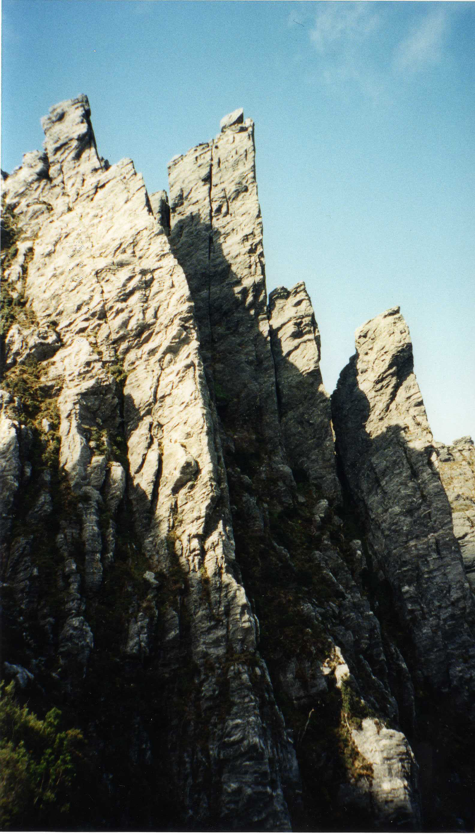 Mt Hayes