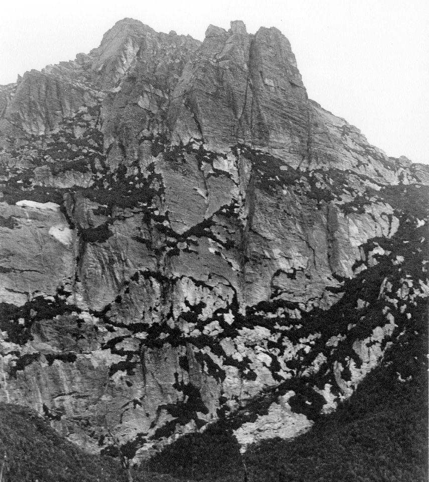 Procyon Peak