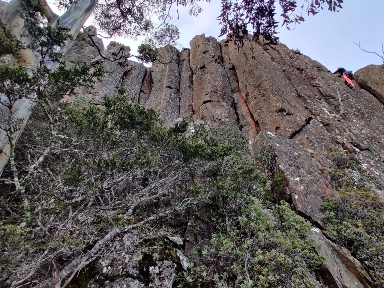Mt. Lloyd South