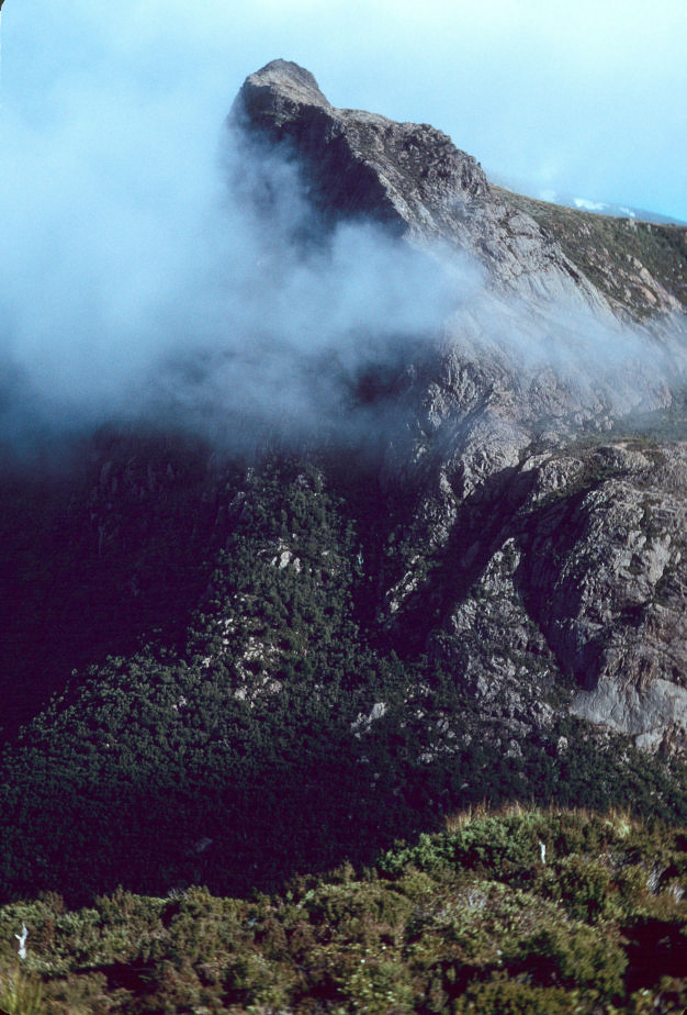 Cockscomb Ridge03.jpg