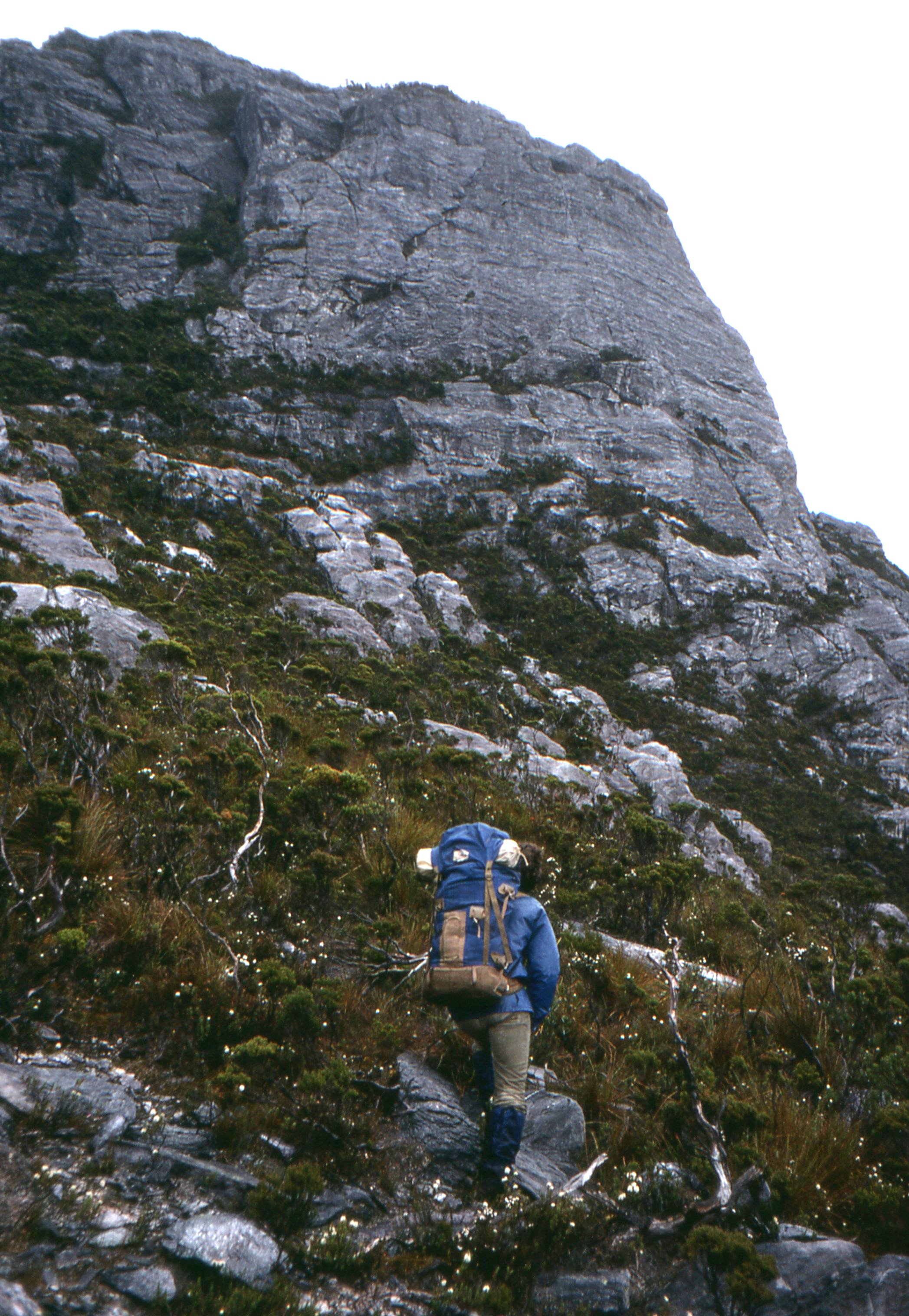 1984 approach