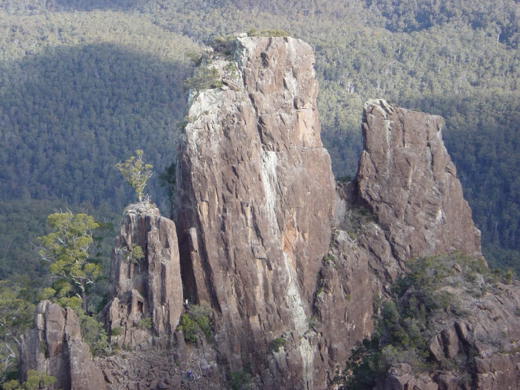 Nichols Needle Access.jpg