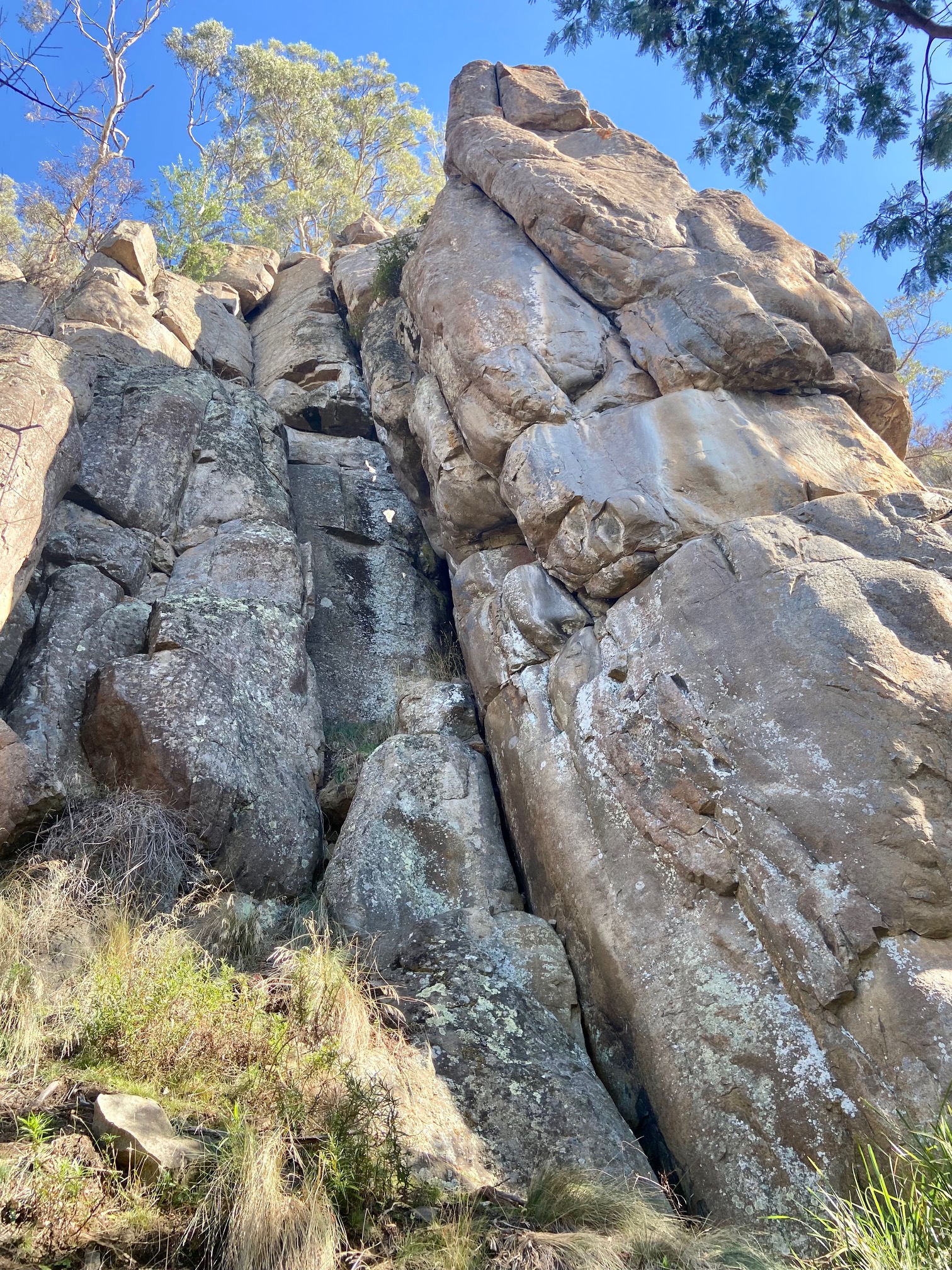 Albatross Buttress