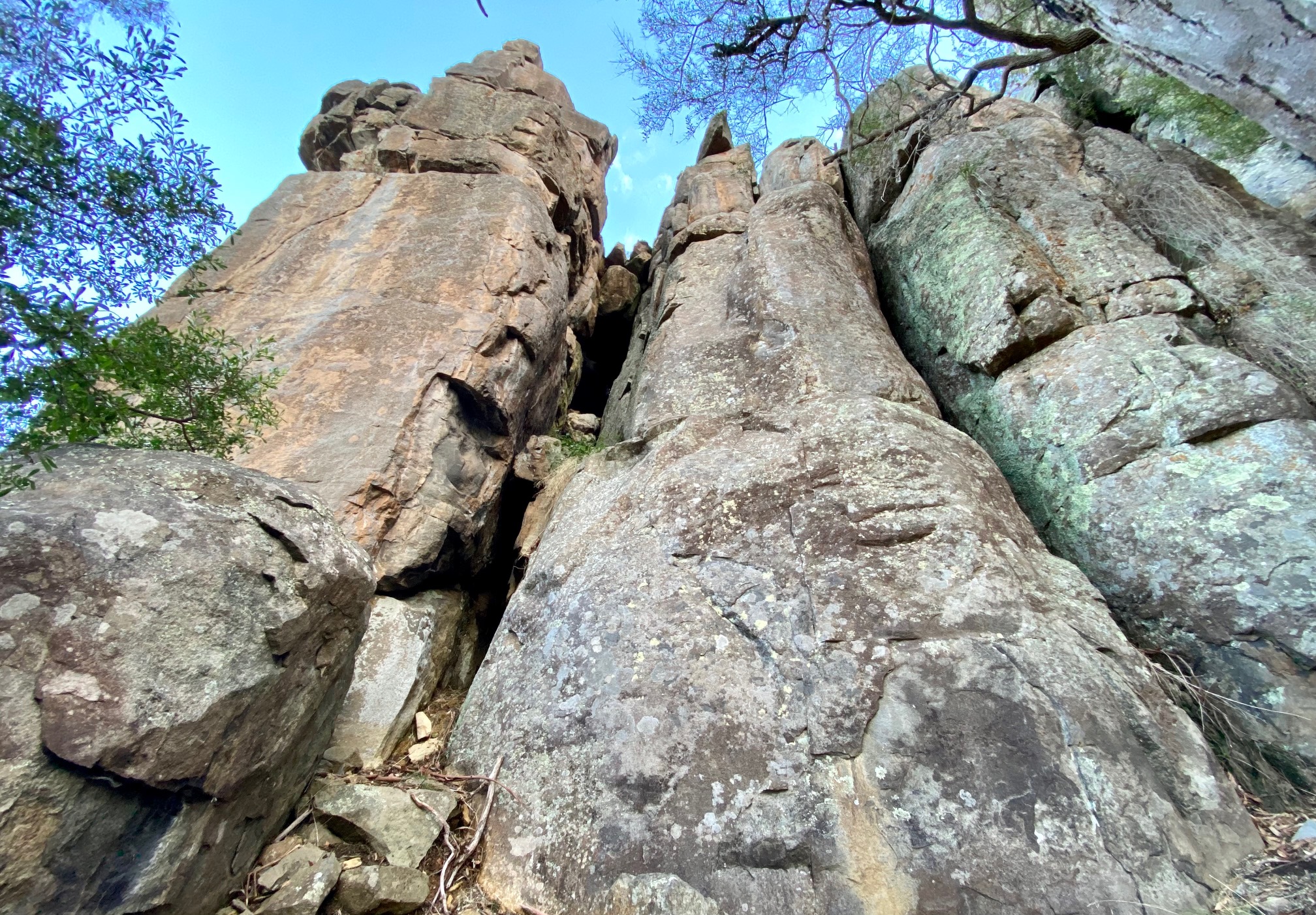 Bismark Buttress RHS