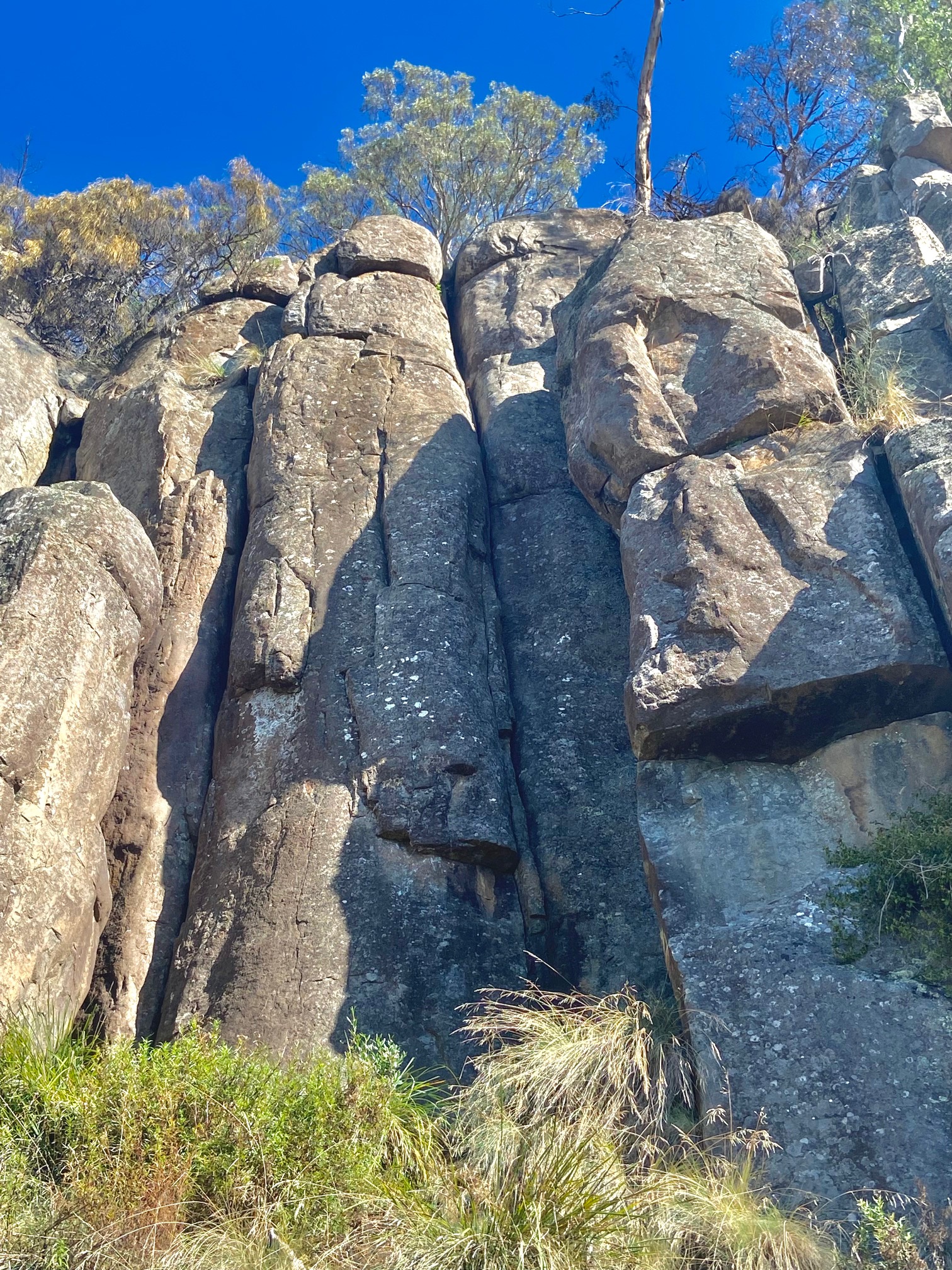 Yoda Buttress