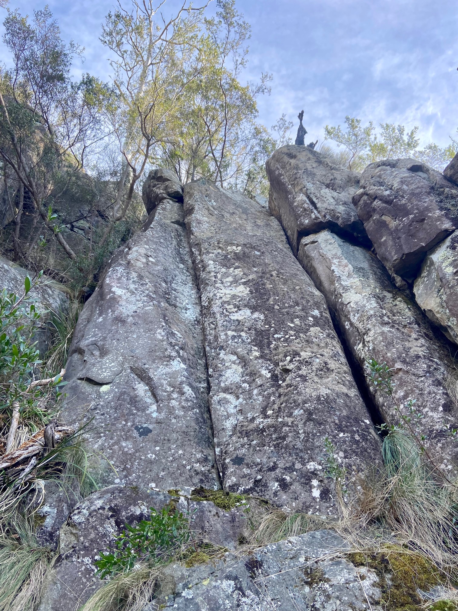 The Contortionist Buttress