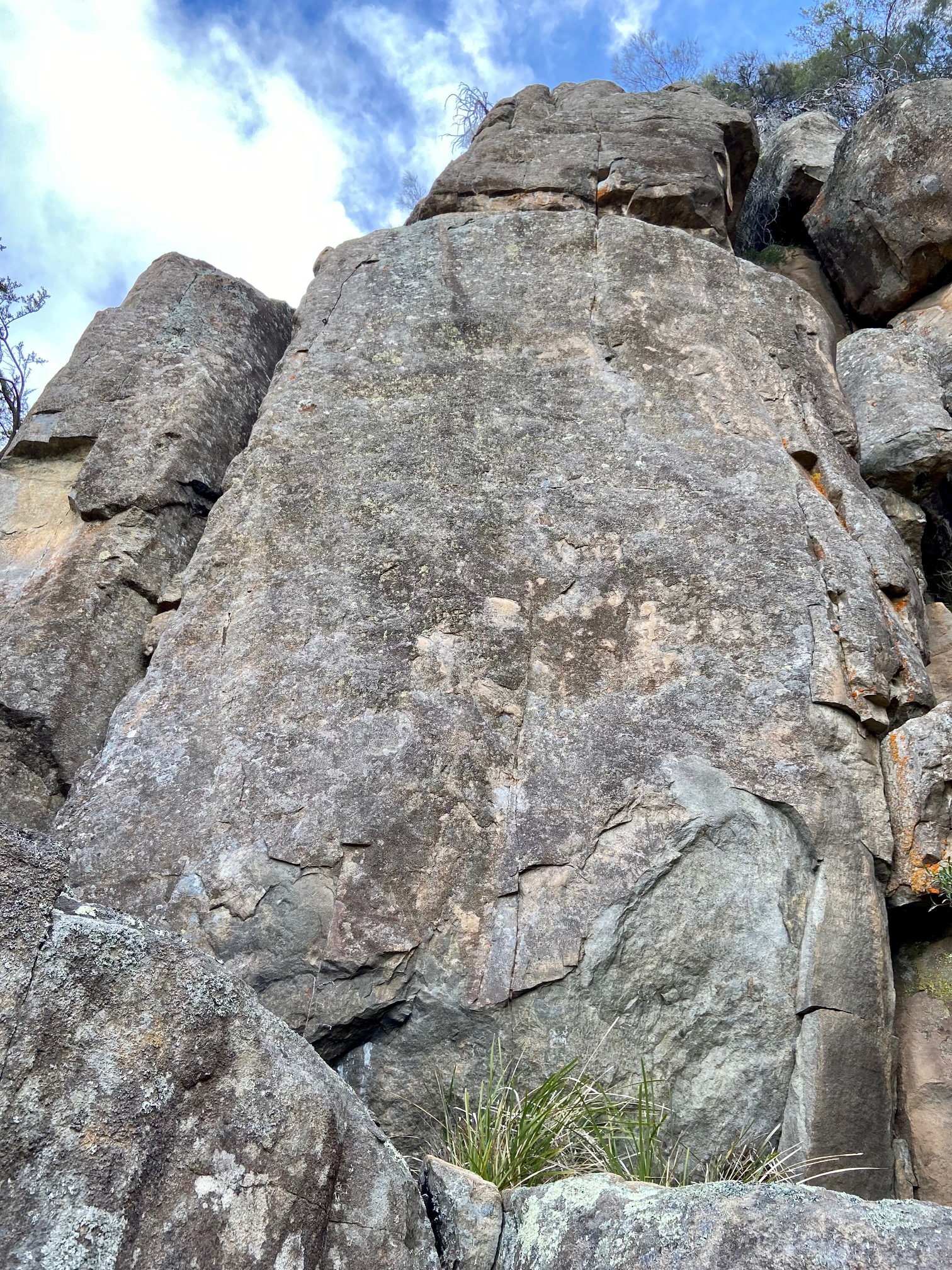 Cryptic Clue Buttress