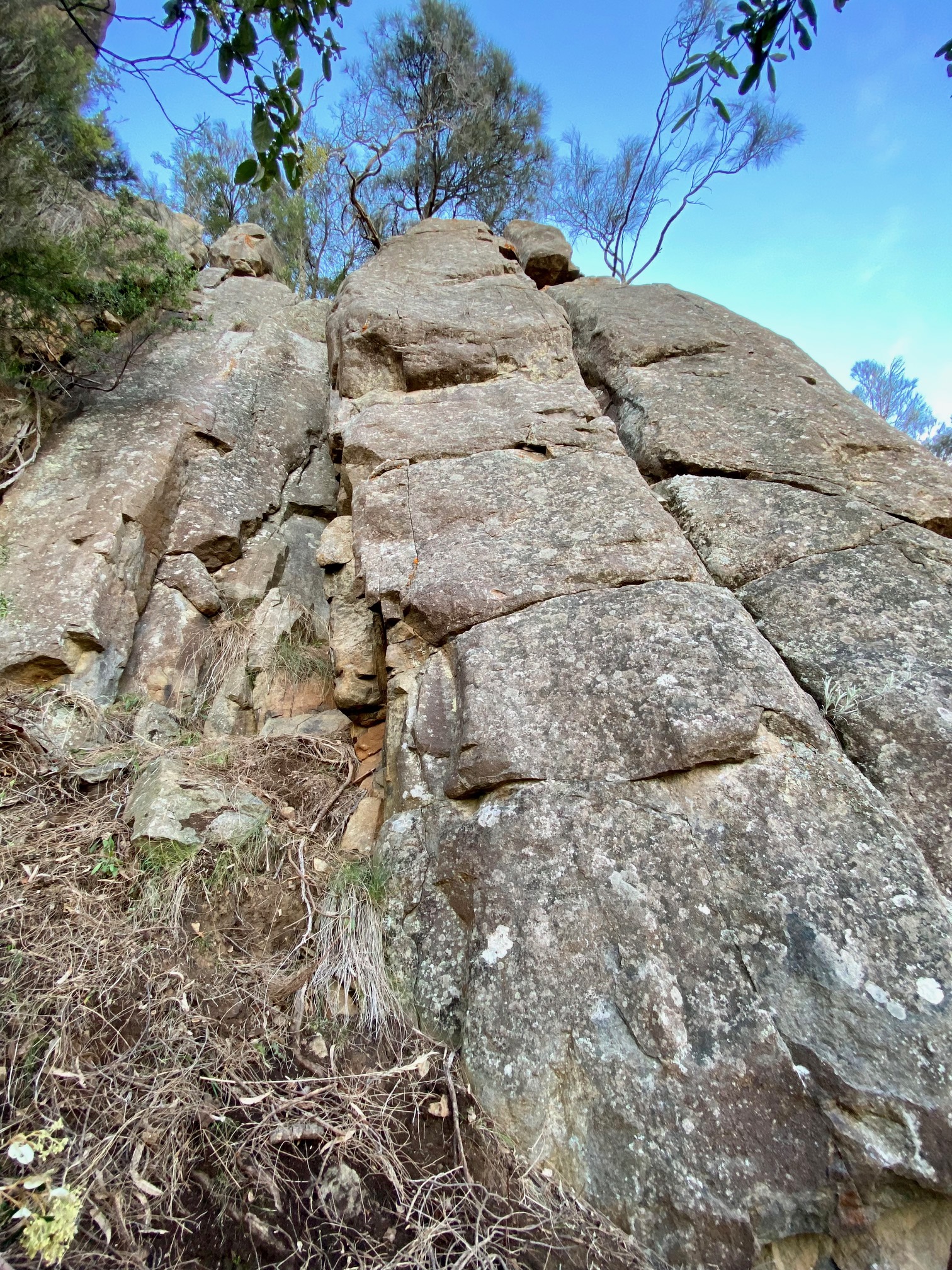 Ferio Buttress LHS