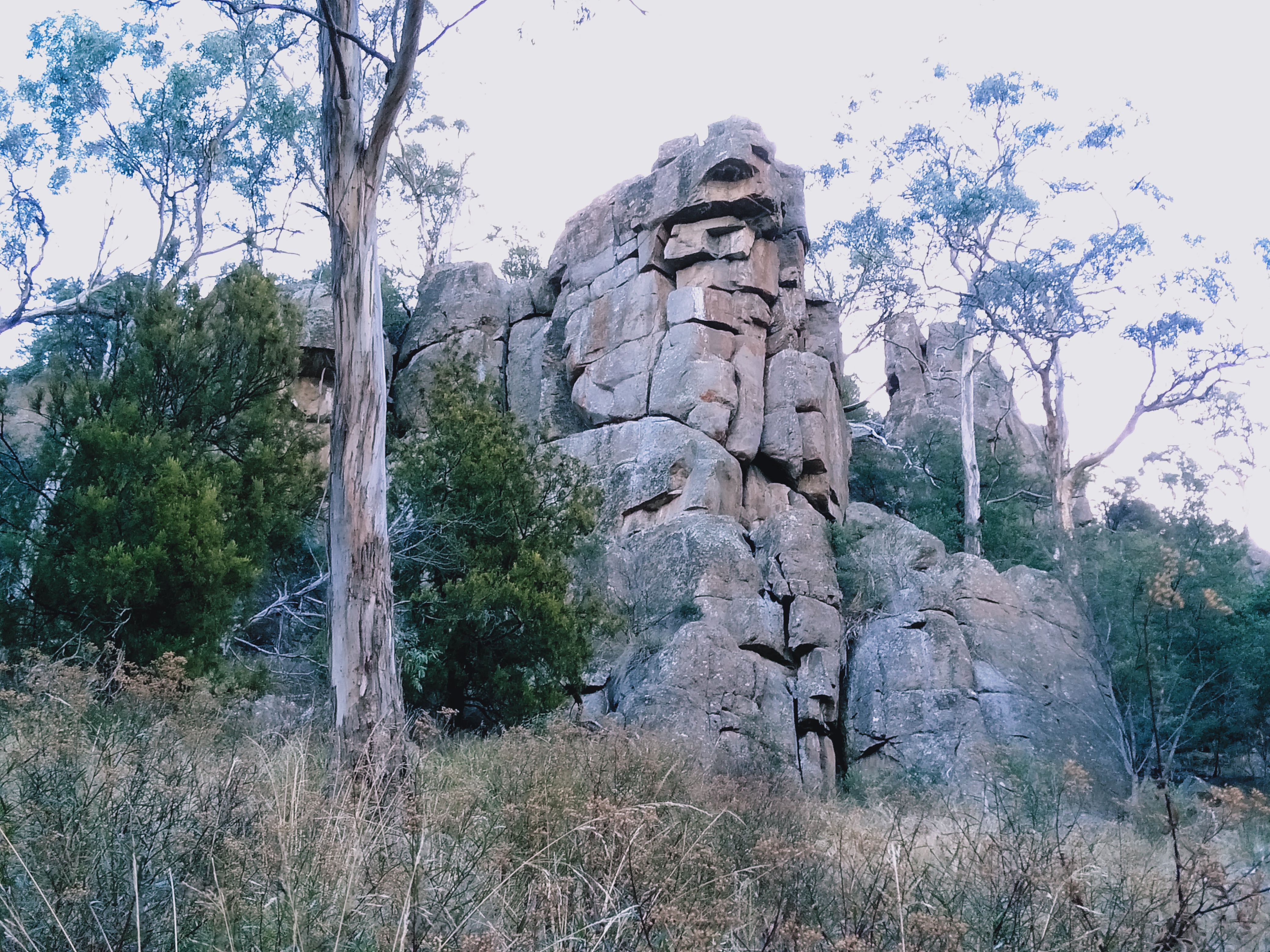 Bismark Buttress