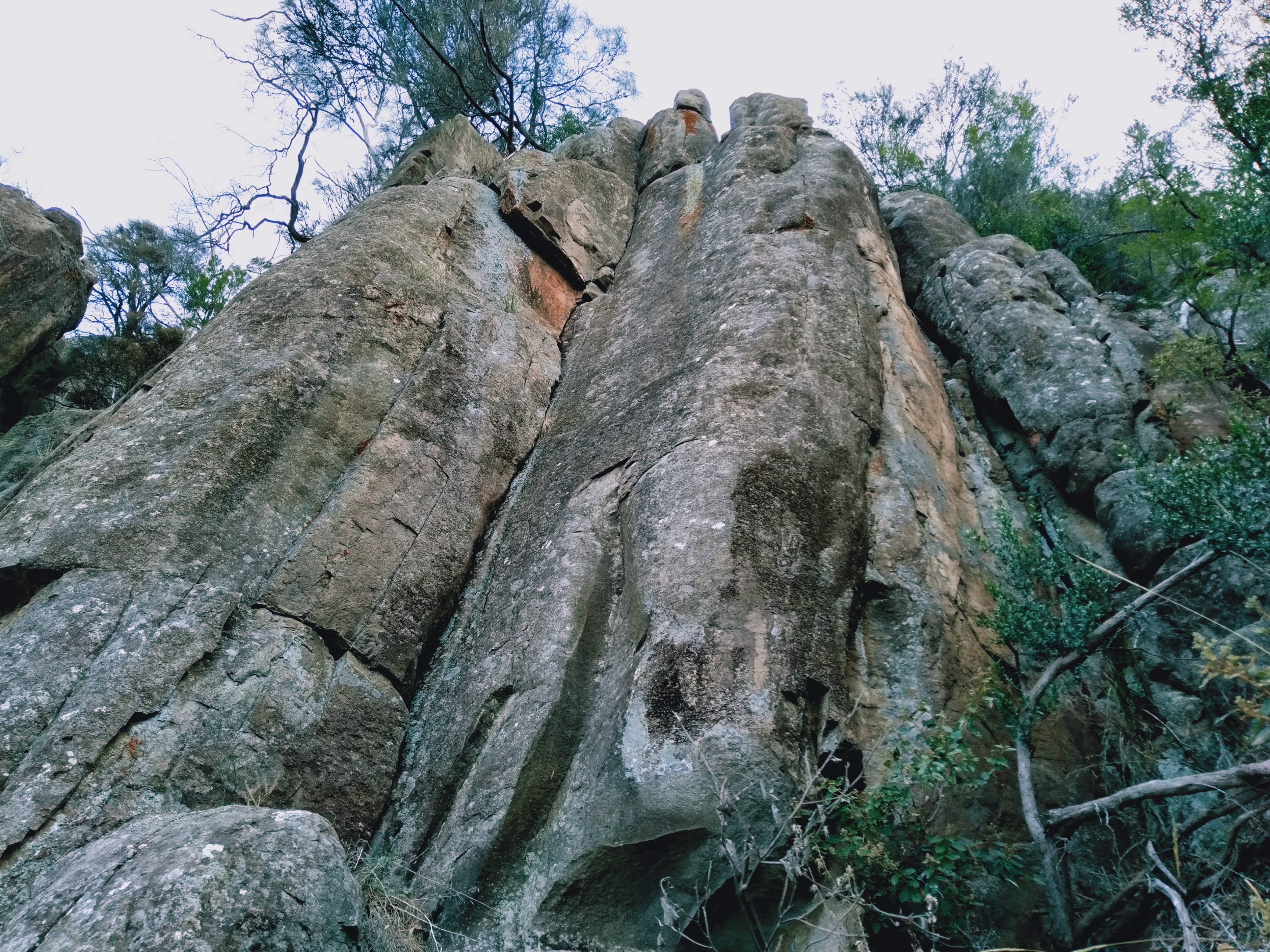 Ferio Buttress RHS