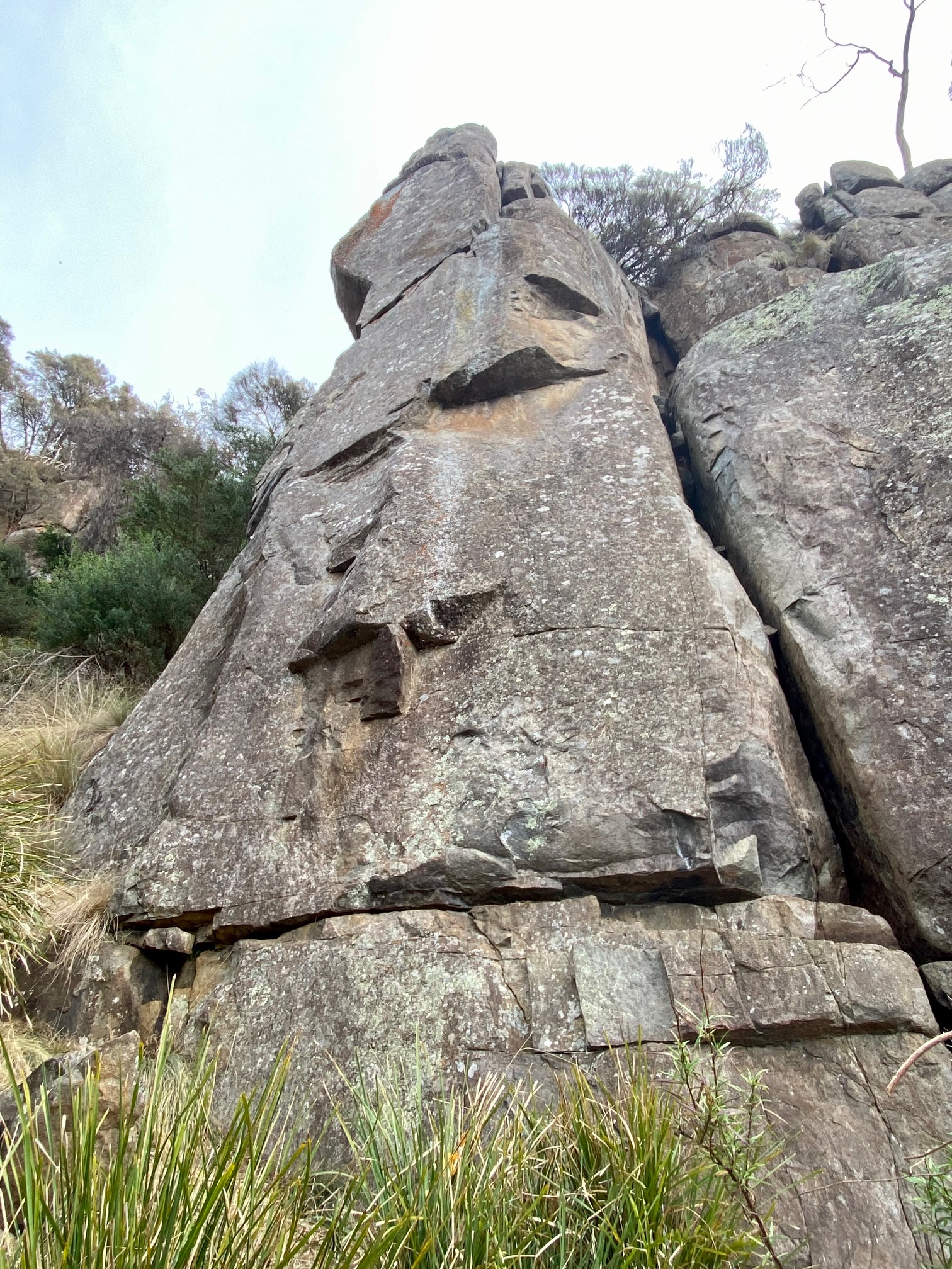 Sweetie Buttress