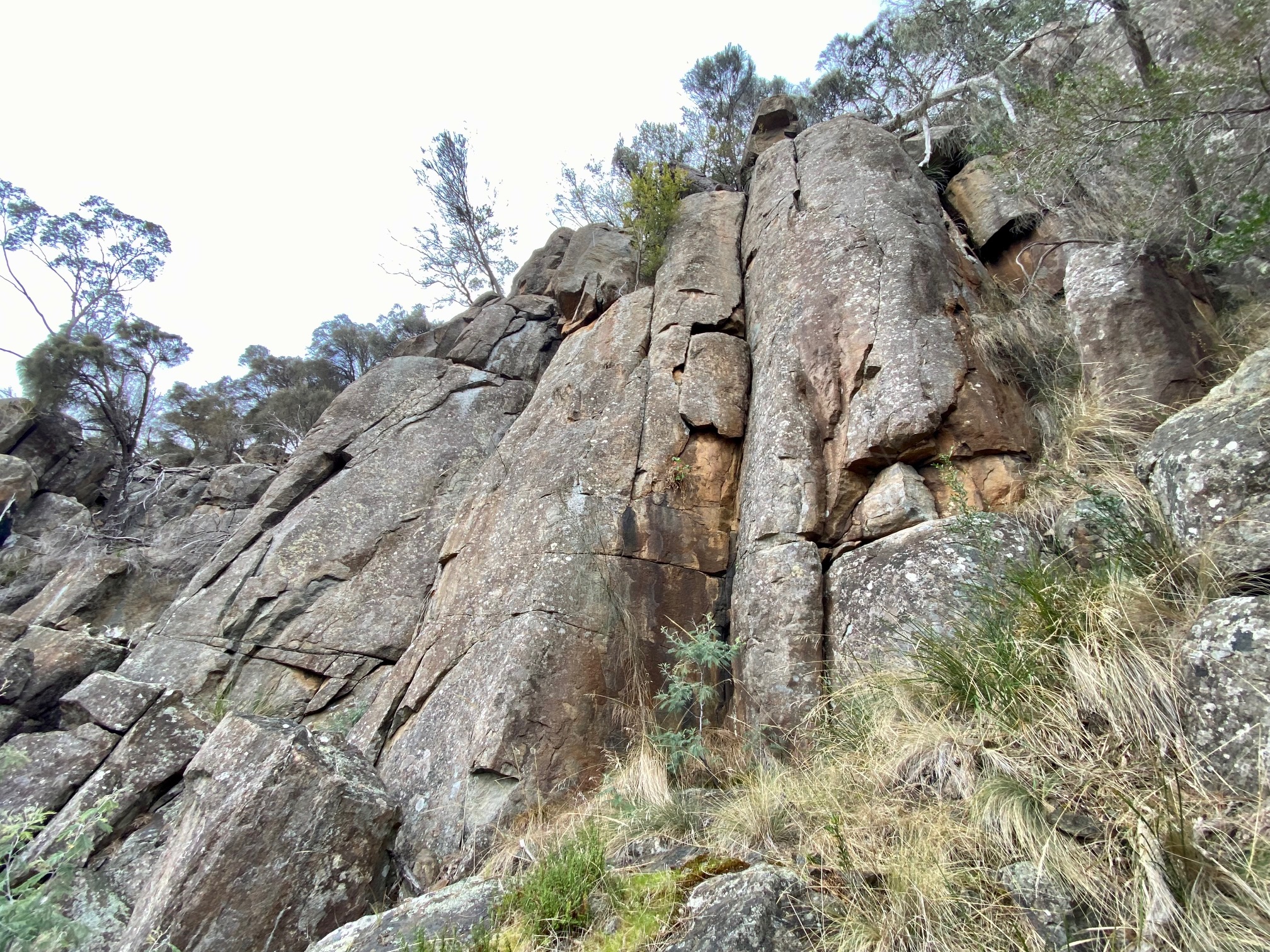 Time Warp Buttress