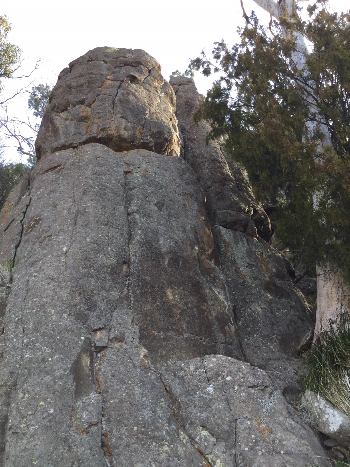 Papillon Buttress