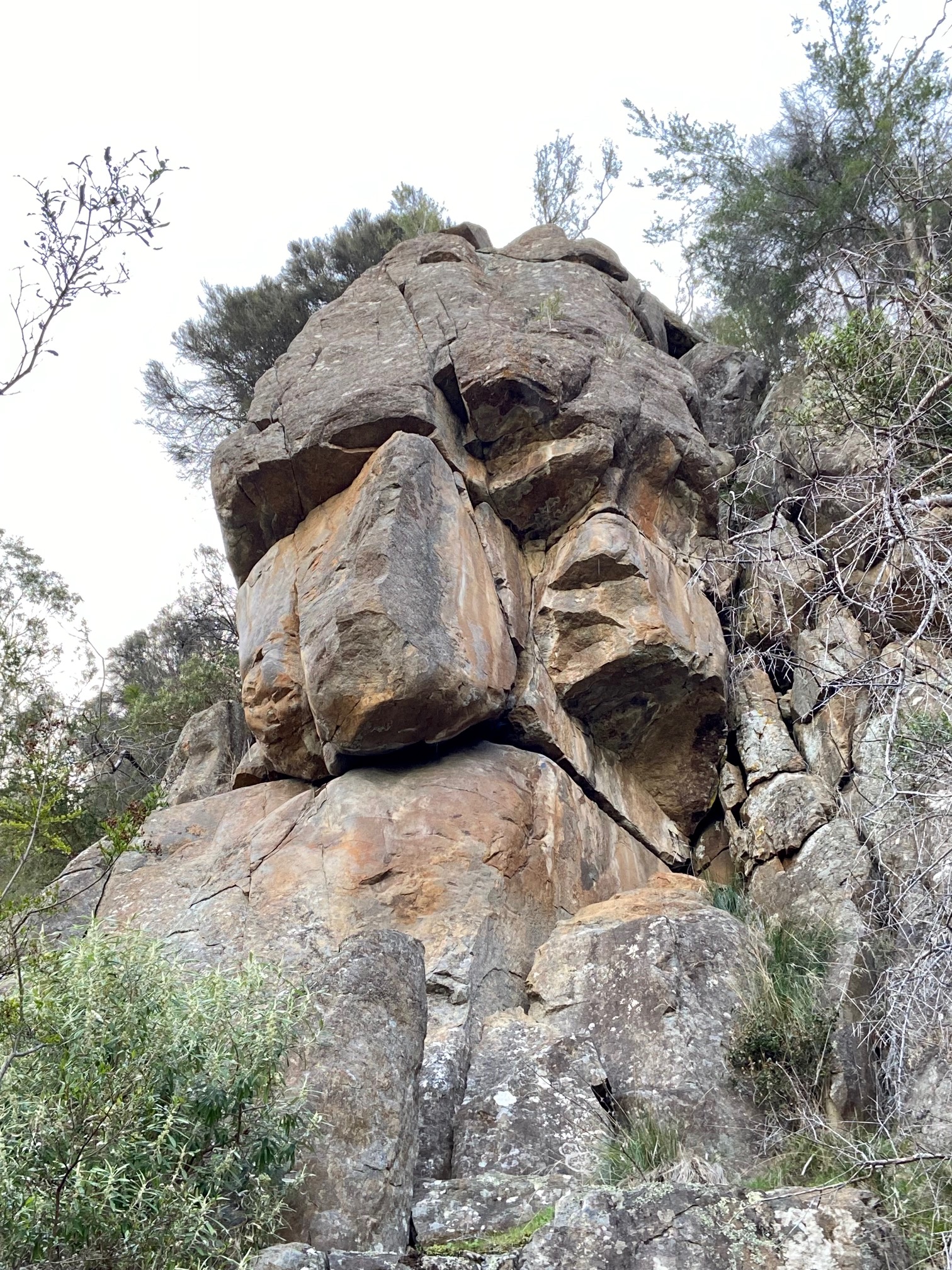 Delinquents Buttress