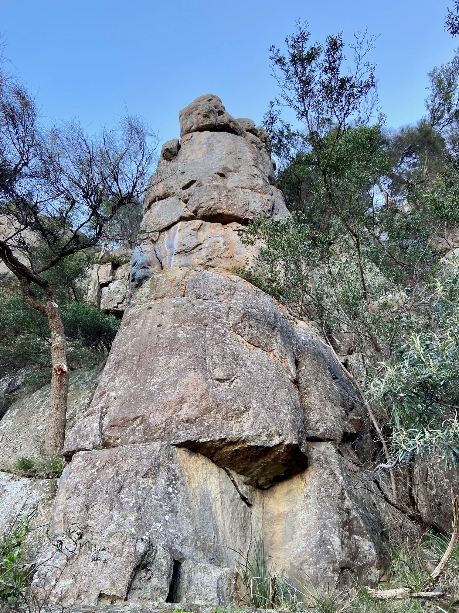 Something Scurrilous Buttress