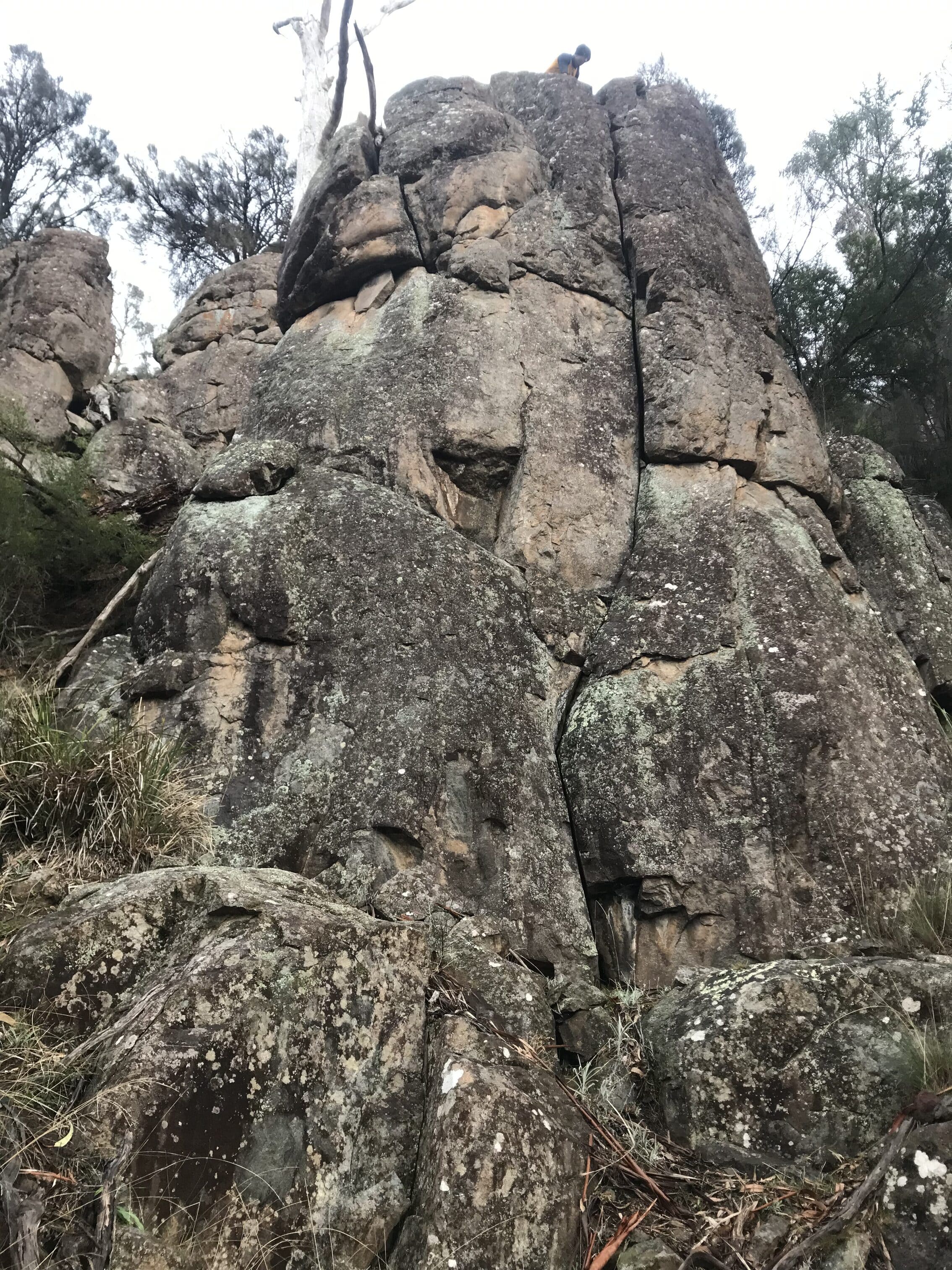 Topless Buttress