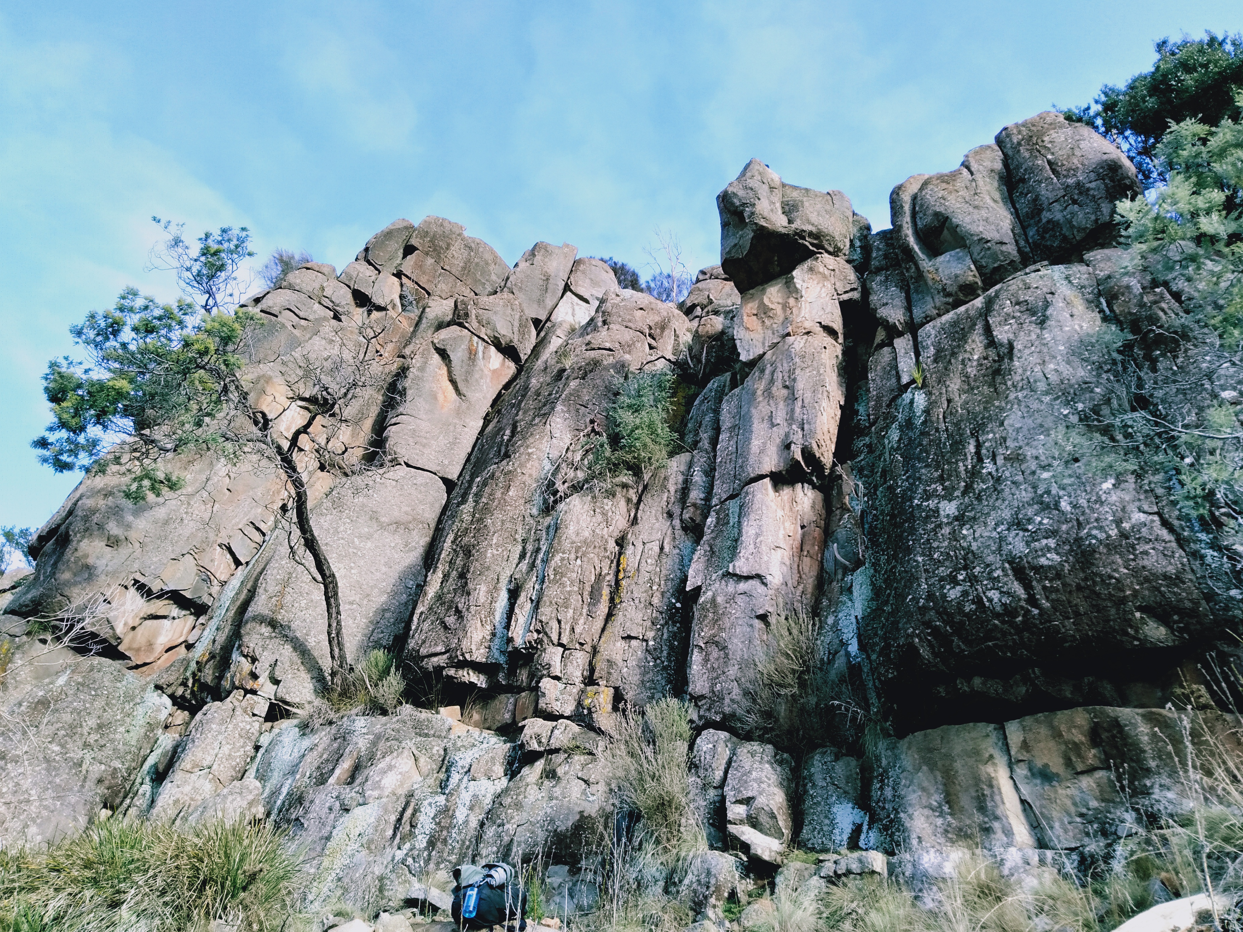 Tormentil Buttress