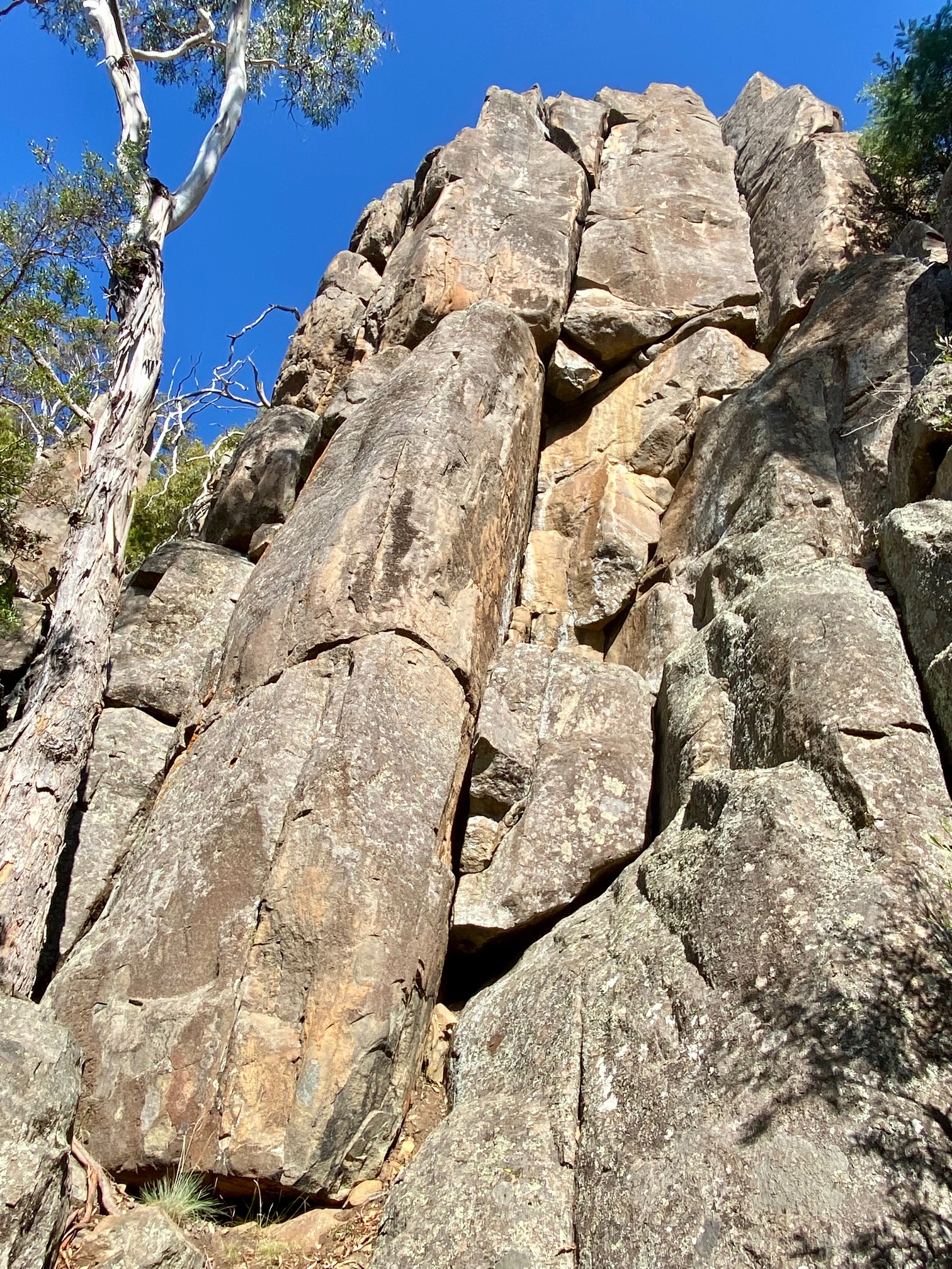 Virag Buttress