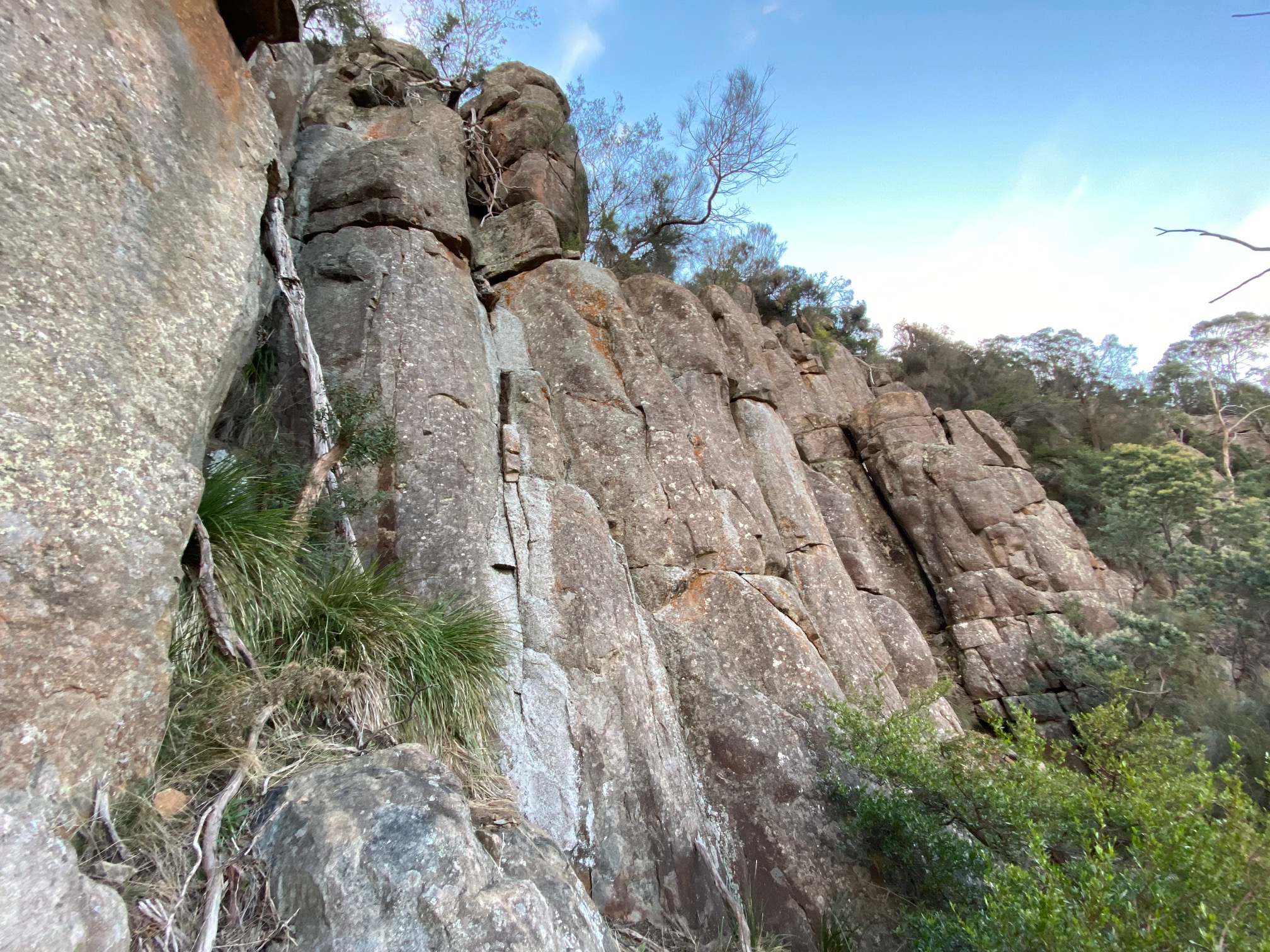 Zundapp Buttress