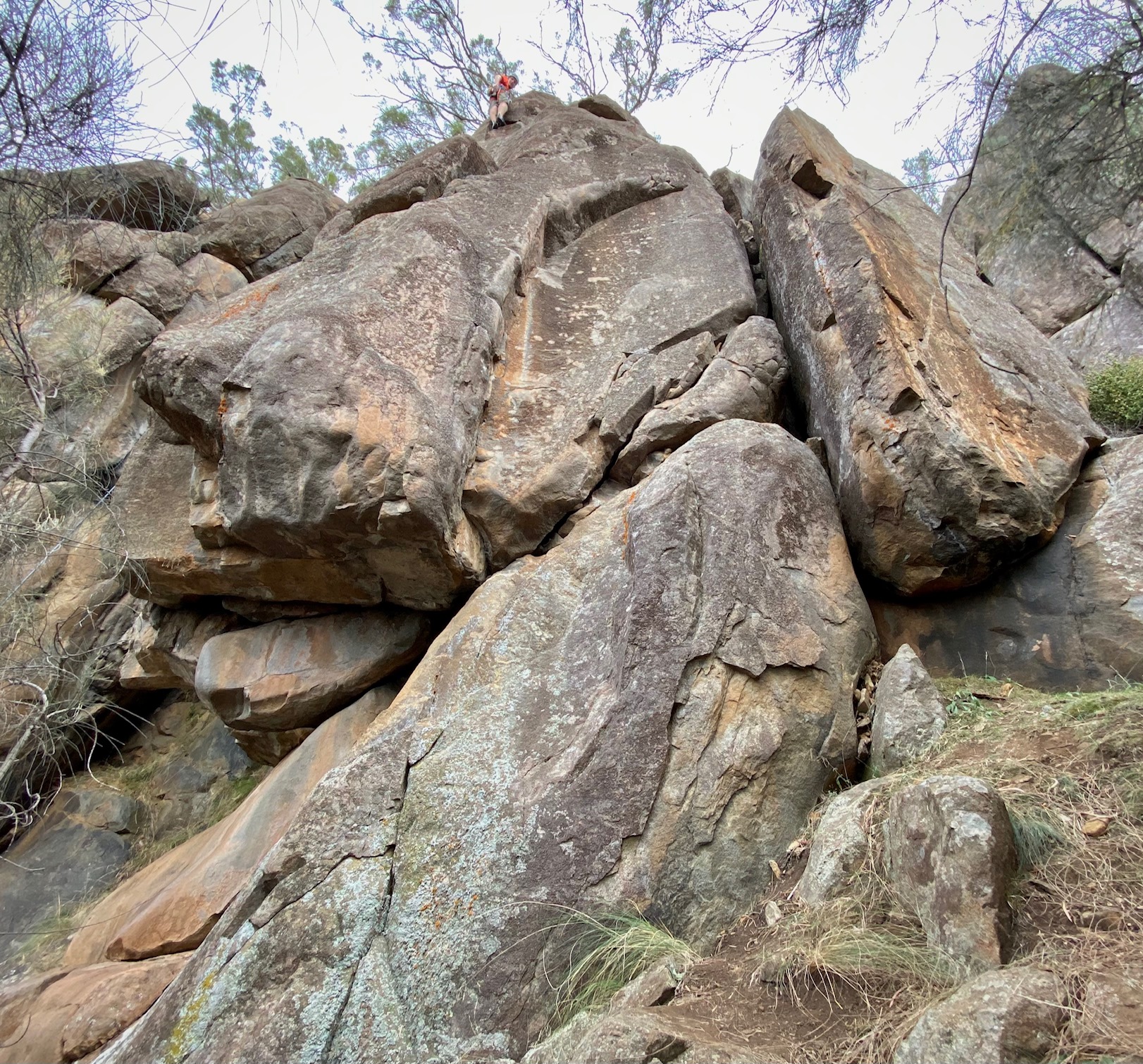 The Danger Hog Shuffle Buttress