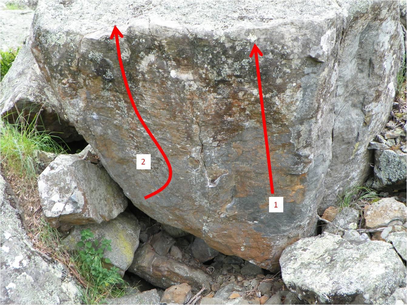 Satellite 1.jpg