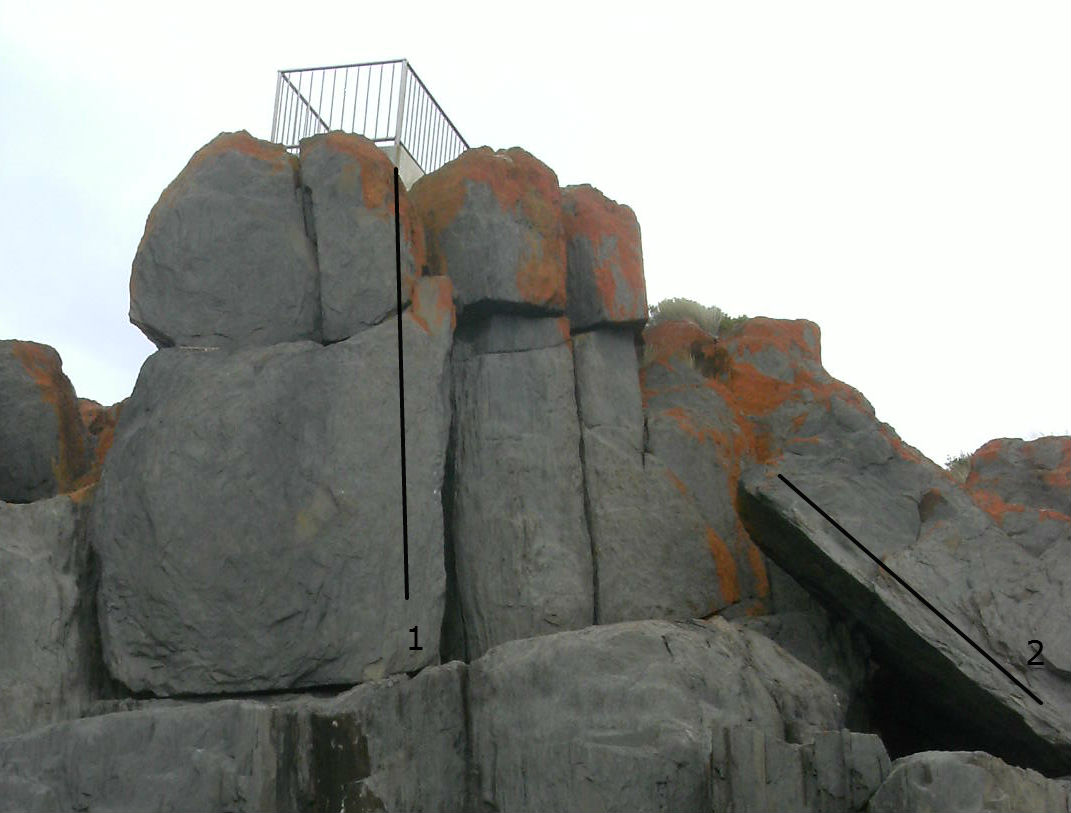 The Lookout
