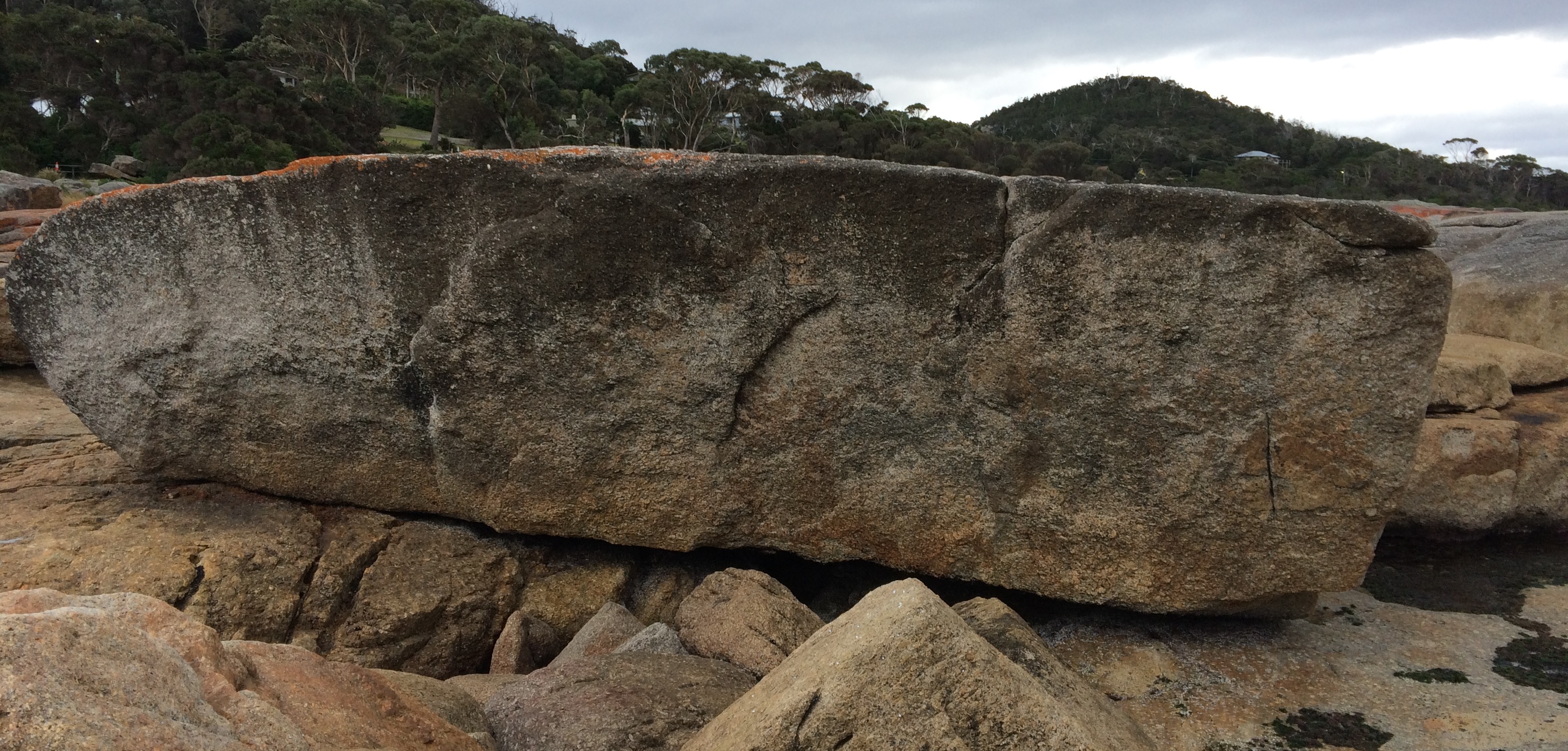 Bicheno Whale boulder.jpg
