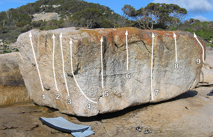 Bichenoabalone2.jpg