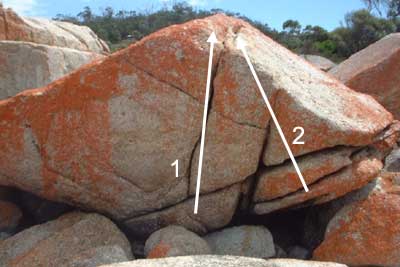 Bichenoblock6.jpg