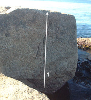 Bichenoblow11.jpg