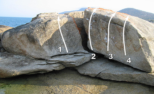 Bichenocrab2.jpg