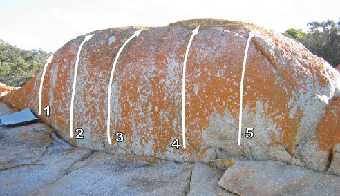 Bichenoorangeslab.jpg