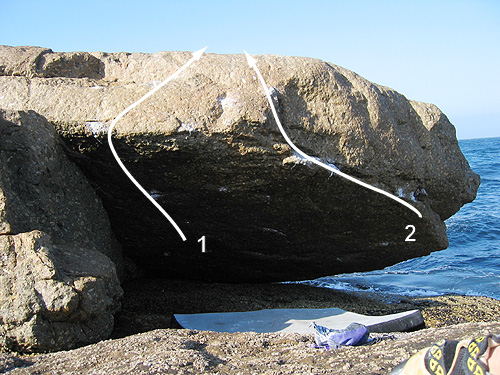 barnacleroof.jpg