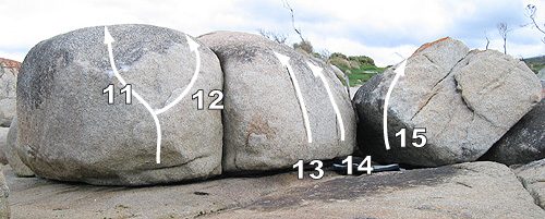 ditr2.jpg