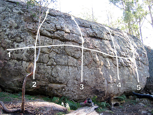 Bluff Riverwasp1.jpg