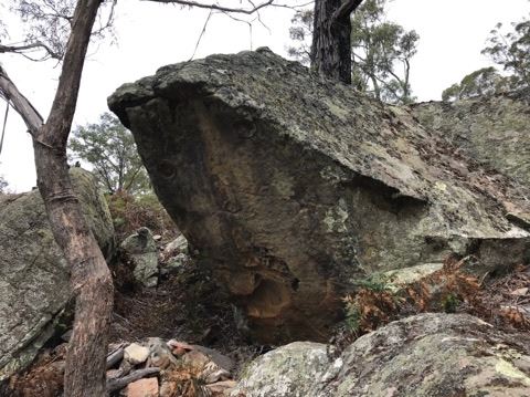 Buckland boulder 1.jpg