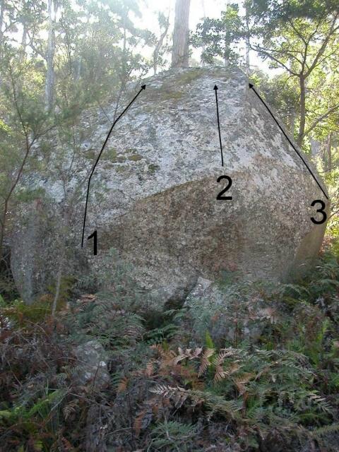 Tamogochi Boulder