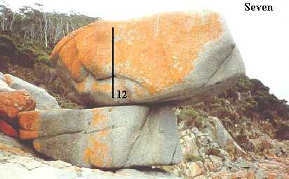Coles Baybseven.JPG