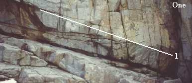 Coles Bayone.JPG