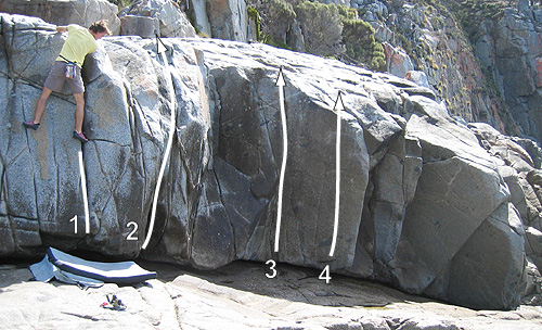 Coles Baypharos4.jpg
